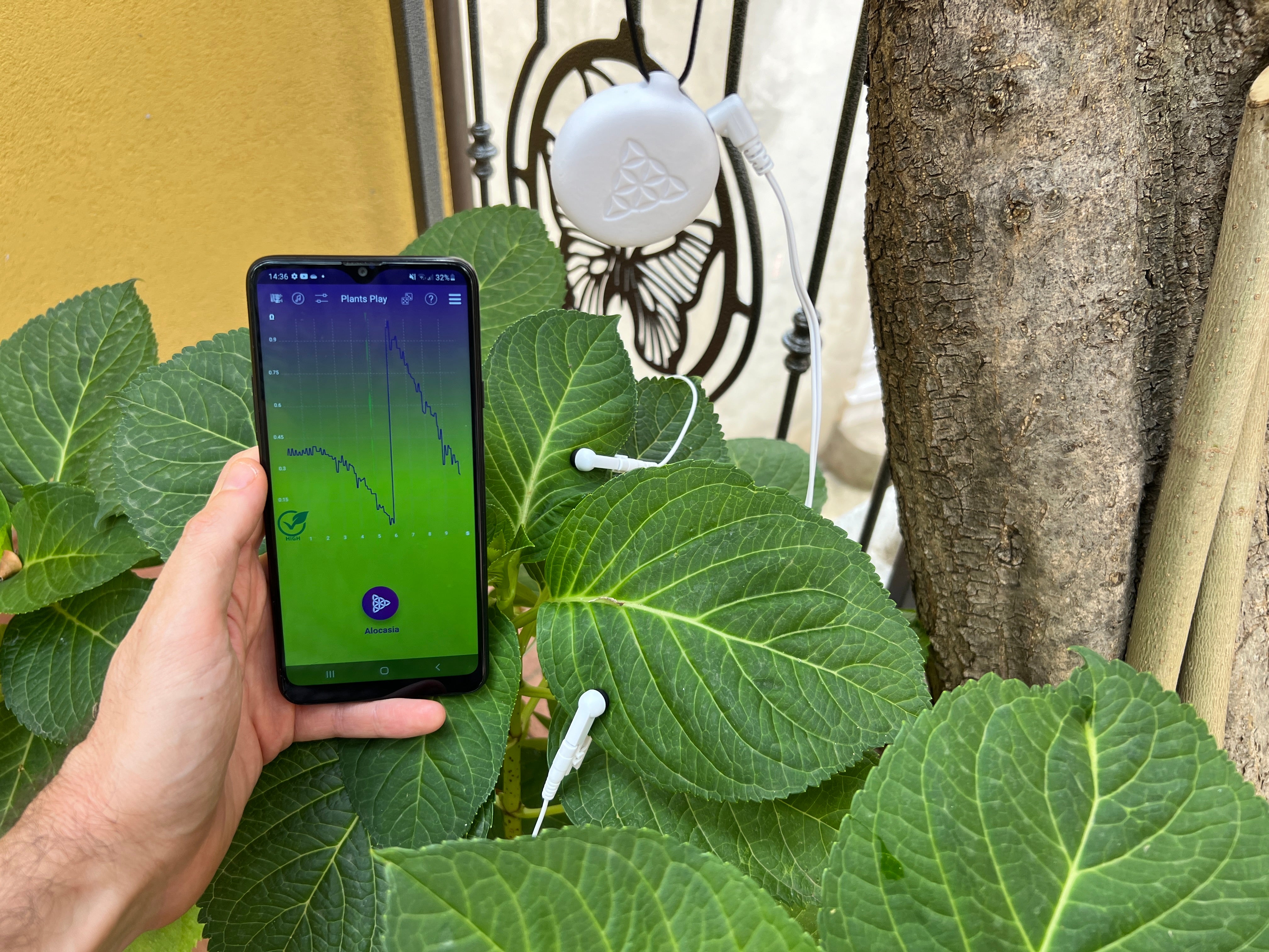 PlantsPlay 2